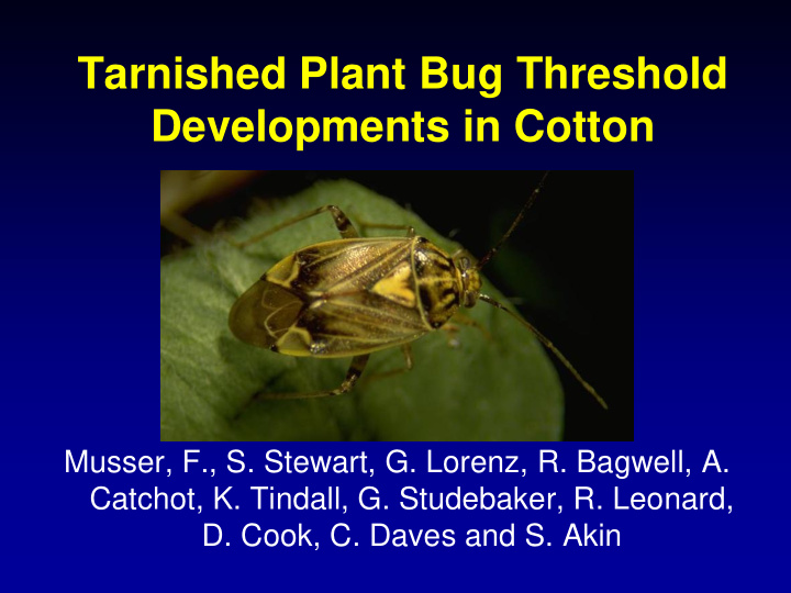 tarnished plant bug threshold developments in cotton