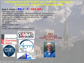 Our Experience with TD-DFT and TD-DFTB in Biological,  Bio-inspired, and Other Photoprocesses