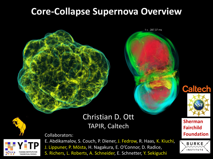 core collapse supernova overview