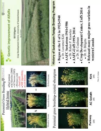 Annual Forage Breeding   Collaboration with CDC barley breeders  Aaron Beattie   Forage
