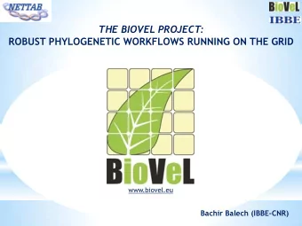 THE BIOVEL PROJECT: ROBUST PHYLOGENETIC WORKFLOWS RUNNING ON THE GRID  www.biovel.eu  Bachir Balech