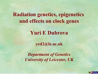 Radiation genetics, epigenetics  and effects on clock genes  Yuri E Dubrova  yed2@le.ac.uk