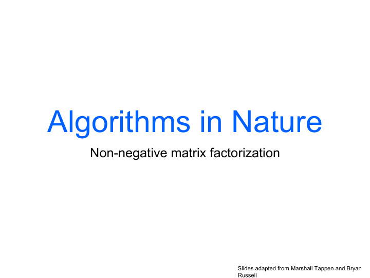 algorithms in nature