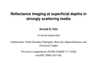 Reflectance imaging at superficial depths in  strongly scattering media  Arnold D. Kim  UC Merced
