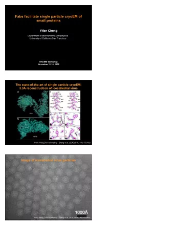 Fabs facilitate single particle cryoEM of  small proteins  Yifan Cheng  Department of Biochemistry