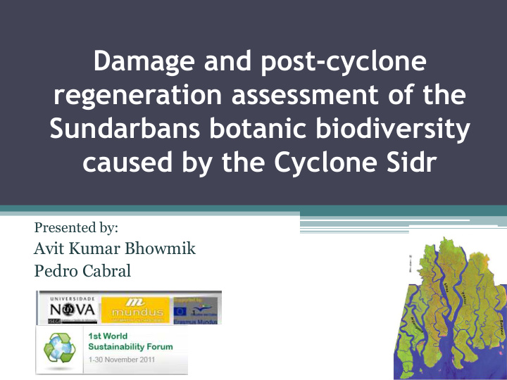 presented by avit kumar bhowmik pedro cabral damage and