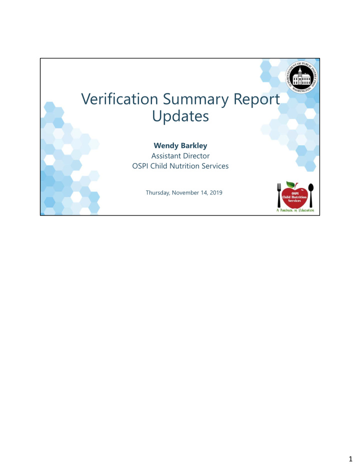 verification summary report updates