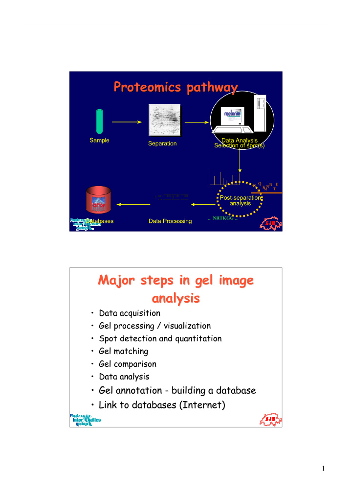 proteomics pathway proteomics pathway