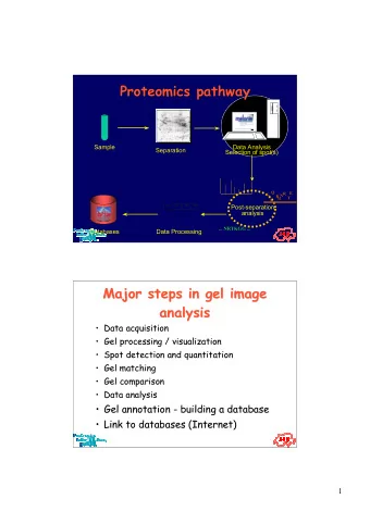 Proteomics pathway  Proteomics pathway  Sample  Data Analysis  Separation  Selection of spot(s)  G