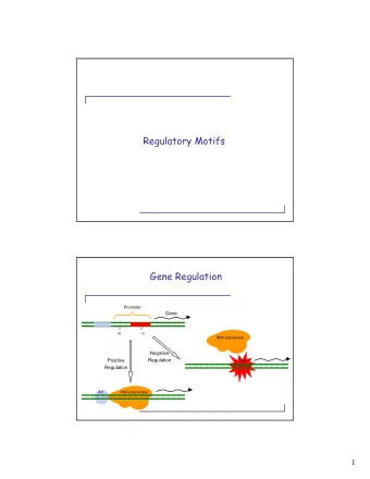 Regulatory Motifs  Gene Regulation  Promoter  Gene  -35  -10  RNA polymerase  Negative  Positive