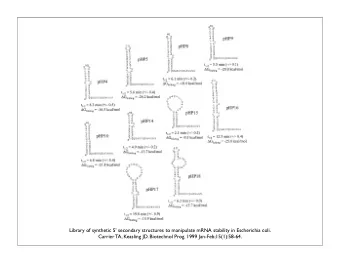 Library of synthetic 5' secondary structures to manipulate mRNA stability in Escherichia coli.