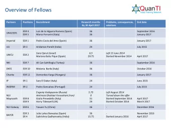Overview of Fellows  Partners  Positions  Recruitment  Research months  Problems, consequences,