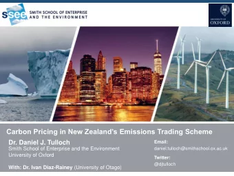 Stranded Assets, CAPEX and Investment Consultants  Dr. Daniel J. Tulloch  Email:  Daniel J. Tulloch