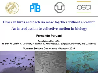 An introduction to collective motion in biology  Fernando Peruani  In collaboration with:  M. Br,