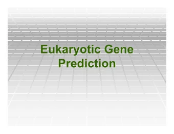 Eukaryotic Gene  Eukaryotic Gene  Prediction  Prediction  Eukaryotic gene structure  Eukaryotic