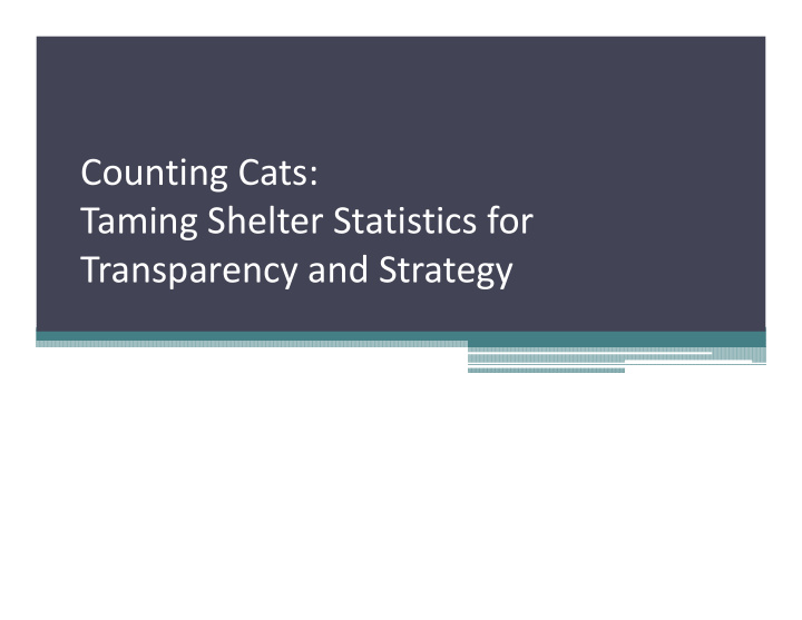 counting cats taming shelter statistics for transparency