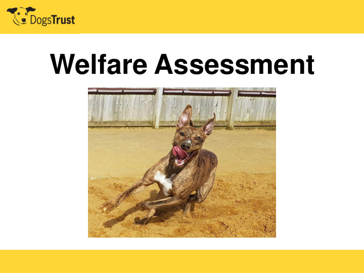welfare assessment quality of life the five freedoms