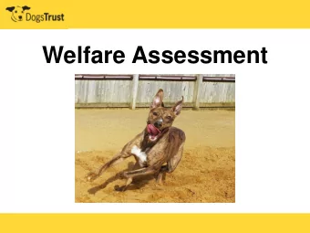 Welfare Assessment  Quality of Life- The Five Freedoms    Need for suitable diet    Need for