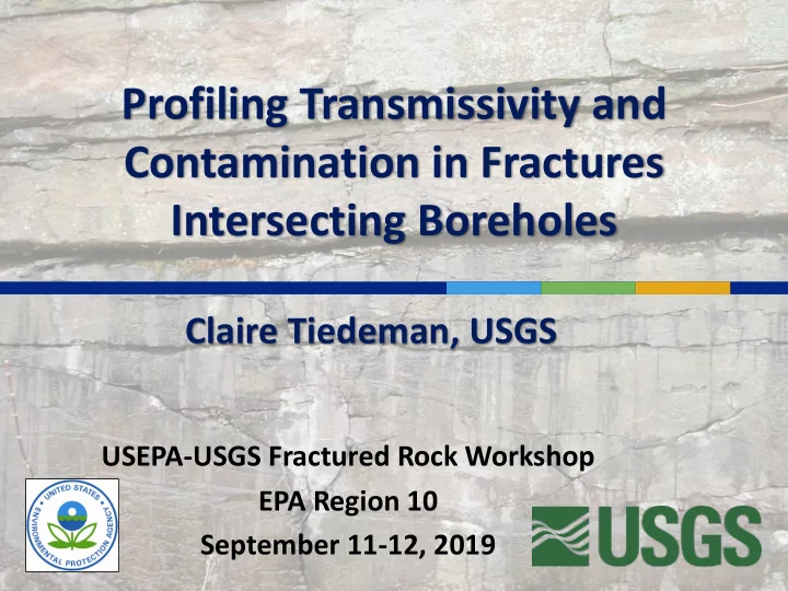 profiling transmissivity and contamination in fractures