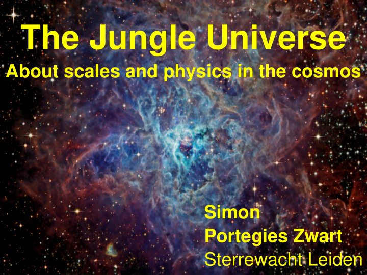 the jungle universe