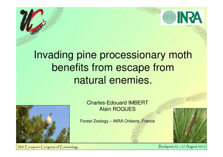 invading pine processionary moth benefits from escape