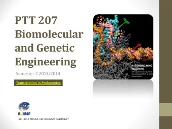 PTT 207  Biomolecular  and Genetic  Engineering  Semester 2 2013/2014  BY: PUAN NURUL AIN HARMIZA