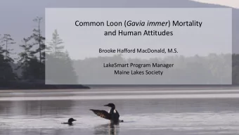 Common Loon ( Gavia immer ) Mortality  and Human Attitudes  Brooke Hafford MacDonald, M.S.