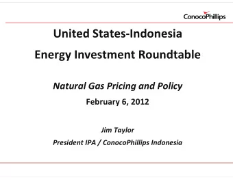 United States  Indonesia Energy Investment Roundtable Natural Gas Pricing and Policy February 6,