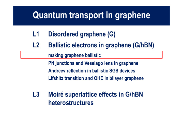 quantum transport in graphene