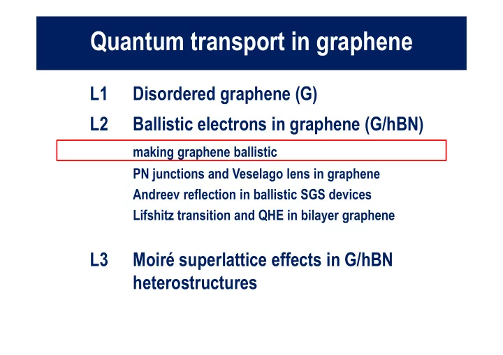quantum transport in graphene