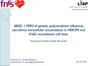 Louvain centre for Toxicology  and Applied Pharmacology  ABCB1  1199G&gt;A genetic polymorphism