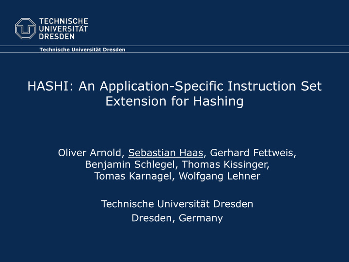 hashi an application specific instruction set extension
