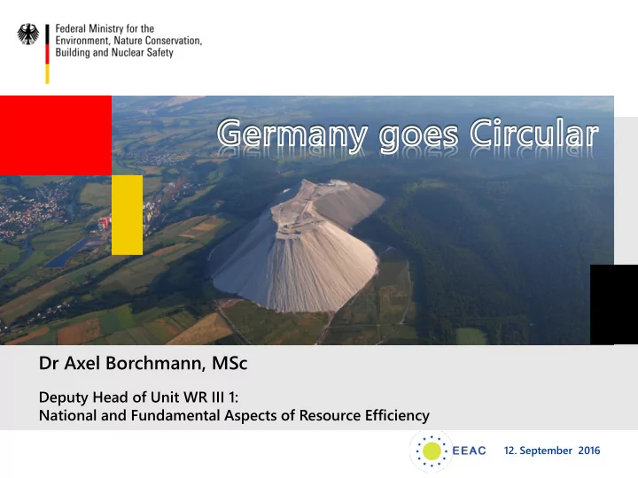 dr axel borchmann msc