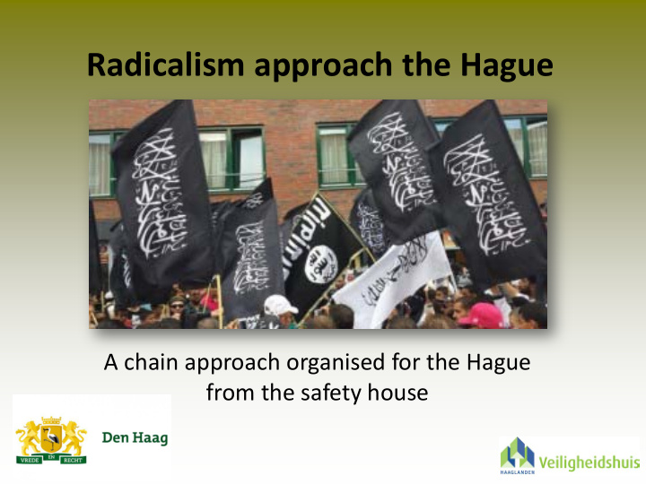 radicalism approach the hague
