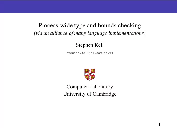 process wide type and bounds checking