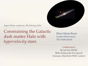 Constraining the Galactic  Elena Maria Rossi  dark matter Halo with  Leiden Observatory,  The