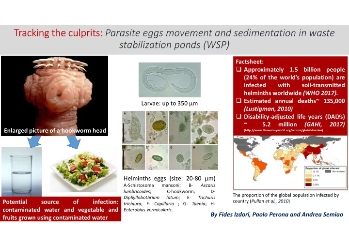 tracking the culprits parasite eggs movement and