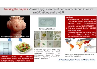 Tracking the culprits: Parasite eggs movement and sedimentation in waste  stabilization ponds (WSP)