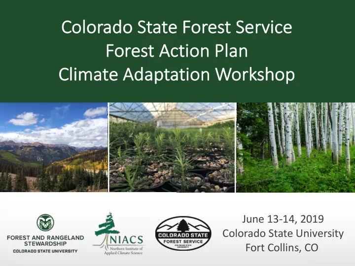 colorado st state e fores est ser service ce fores est