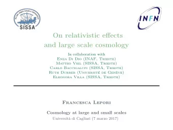 On relativistic effects  and large scale cosmology  In collaboration with  Enea Di Dio (INAF,