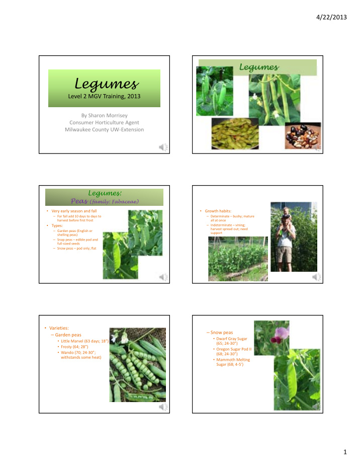 legumes