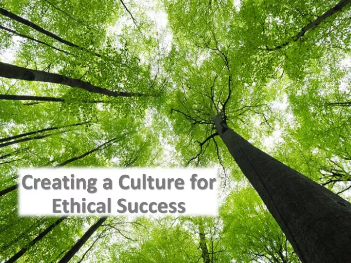 creating a culture for