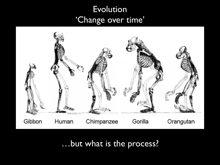 evolution change over time but what is the process