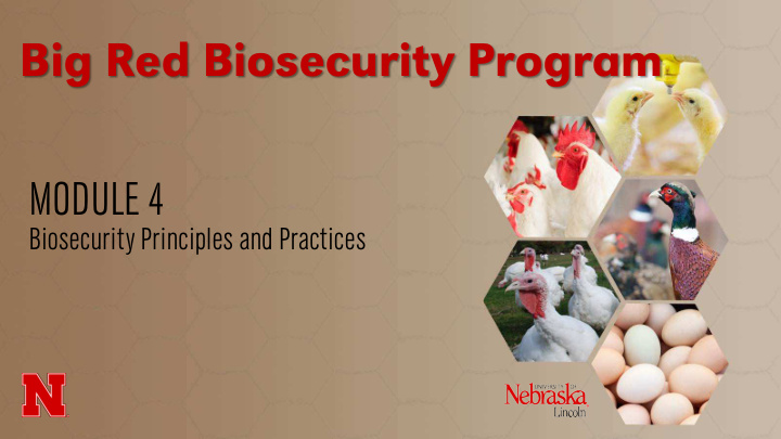 big red biosecurity program module 4