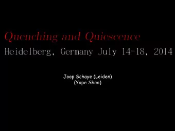 Joop Schaye (Leiden)  (Yope Shea)  Before we even got started,  we were shown that the process of