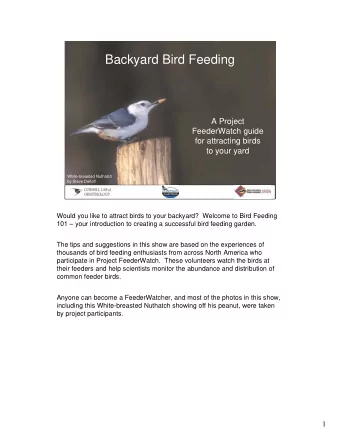 Backyard Bird Feeding  A Project  FeederWatch guide  for attracting birds  to your yard