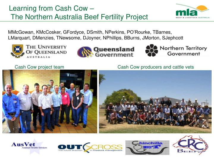 learning from cash cow the northern australia beef