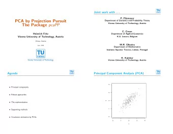 PCA by Projection Pursuit  Department of Statistics and Probability Theory  Vienna University of