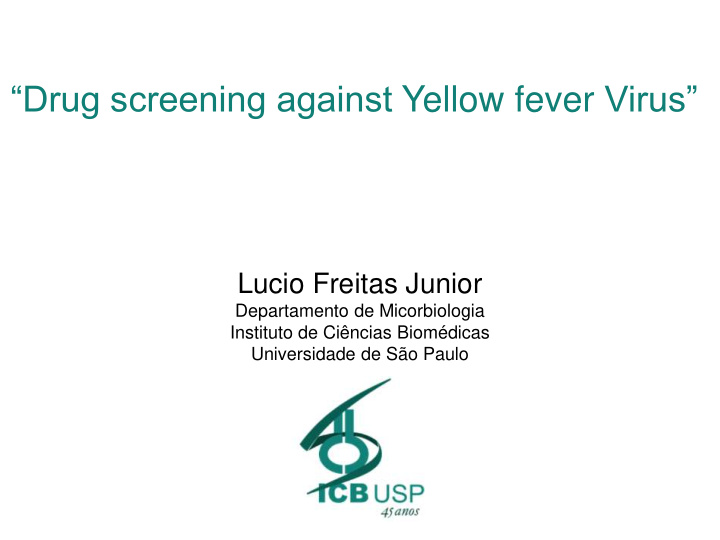 drug screening against yellow fever virus