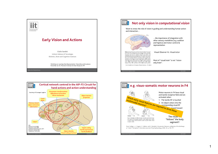 early vision and actions